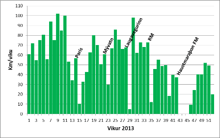 Hlaup 2013 vikur web