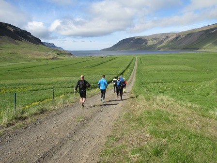 Heimreiðin að Kleifum (eða öllu heldur frá Kleifum í þessu tilviki). Þær gerast ekki öllu lengri og beinni. Gilsfjörður blasir við.